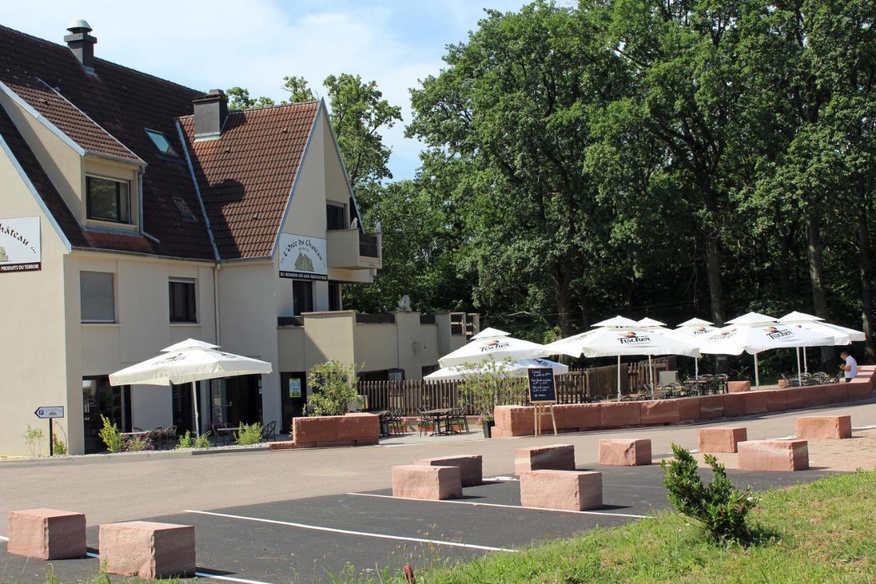 Gite L'Oree Du Chateau - Appartement Potiron Orschwiller Exterior photo